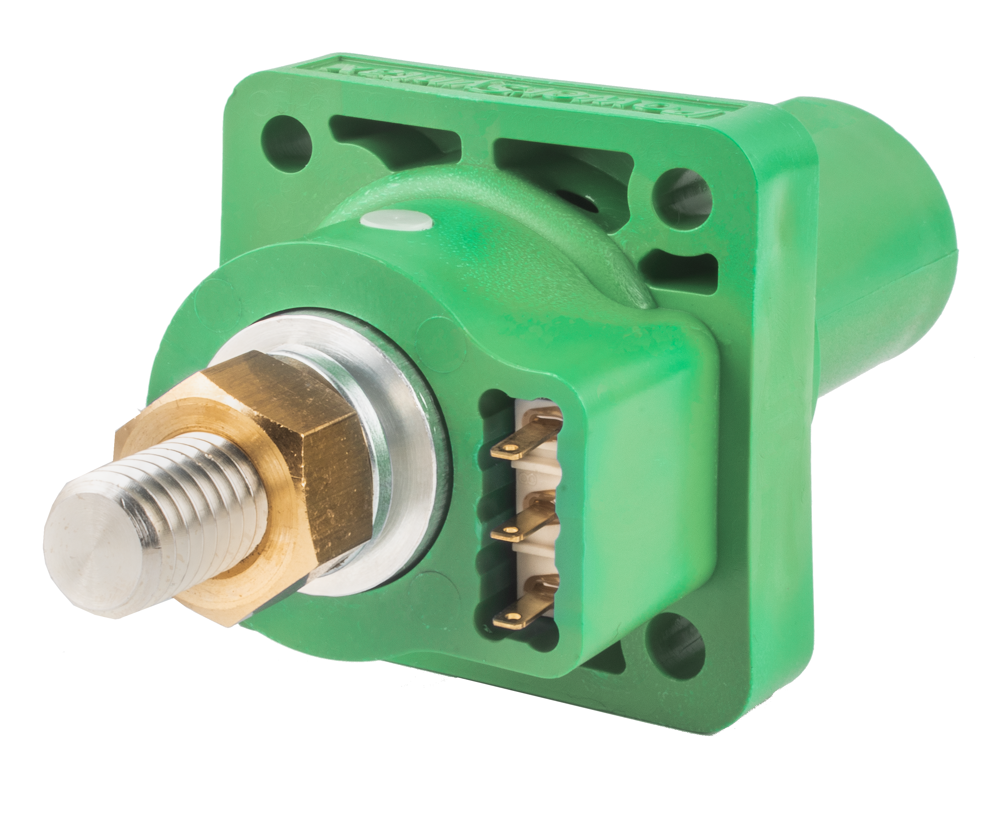 PowerSyntax Panel Drain 480A Chain Pilot Earth Green with Microswitch for Auxiliary Circuit